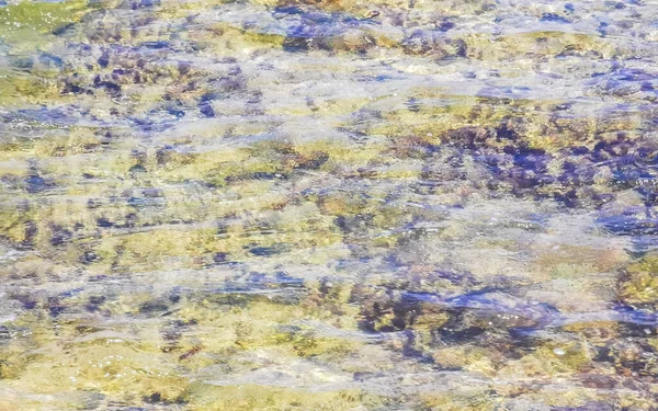 Pierres Rochers Coraux Eau Turquoise Verte Bleue Sur Plage Playa — Photo