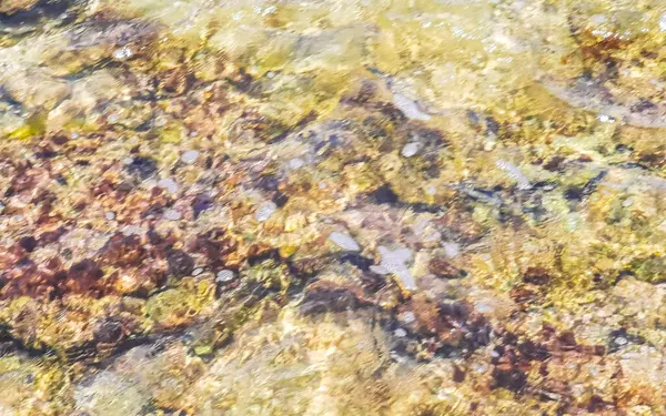 Πέτρες Βράχων Και Κοραλλιών Τυρκουάζ Πράσινο Και Μπλε Νερό Στην — Φωτογραφία Αρχείου