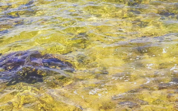 プレヤデルカルメンキンタナのビーチでターコイズグリーンと青の水の石やサンゴ Roo Mexico — ストック写真