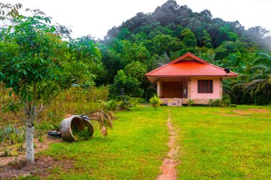 Doğa Dağları Tropik Orman Kireçtaşı Kayalıkları Panorama ve Köy Şehri Ao Nang Amphoe Mueang Krabi Tayland Güneydoğu Asya.