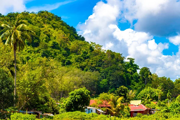Naturberge Tropischer Dschungel Wald Kalksteinklippen Panorama Und Die Dorfstadt Nang — Stockfoto