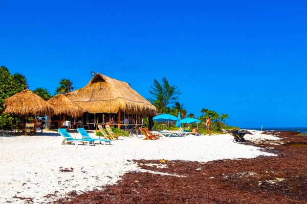 Playa Del Carmen Quintana Roo México Mayo 2021 Hermosa Playa — Foto de Stock