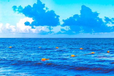 Playa del Carmen Meksika 'da turkuvaz mavisi berrak sulara sahip tropik Meksika Karayip sahili manzarası..