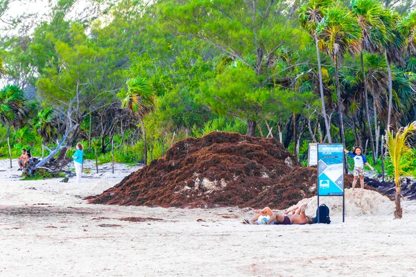 Playa Del Carmen Quintana Roo Meksika Eylül 2022 Güzel Karayip — Stok fotoğraf