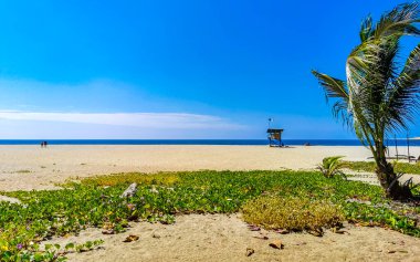 Puerto Escondido Oaxaca Meksika 10. Kasım 2022 'de güneş kumsalı insanları sörf yapıyor Palmiye ağaçları, plaj barı ve Zicatela Puerto Escondido Oaxaca' da mavi su dalgaları..