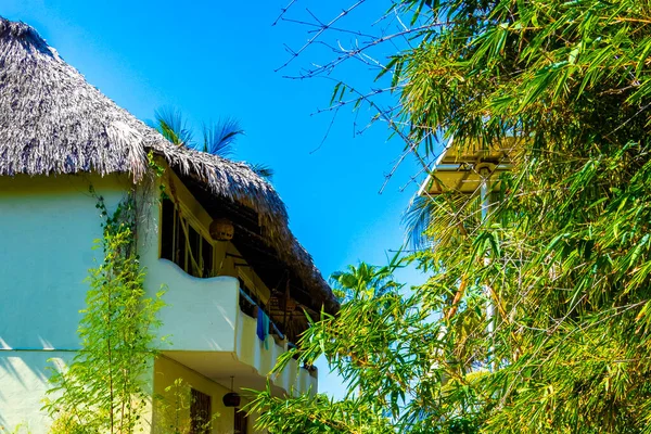 Hotels buildings and houses in tropical paradise between natural jungle palm trees in Zicatela Puerto Escondido Oaxaca Mexico.