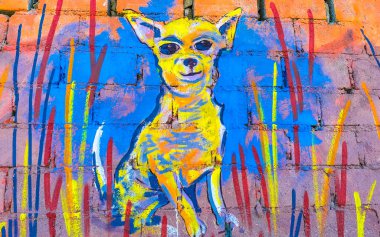Puerto Escondido Oaxaca Meksika 16. Ocak 2023 Duvarı. Renkli hayvan doğası graffiti sanat çizimleri ve Rinconada Bacocho Puerto Escondido Oaxaca Meksika 'da güzel tablolar..