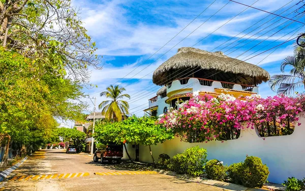 Puerto Escondido Oaxaca Mexiko Januari 2023 Typisk Vacker Färgglad Turist — Stockfoto