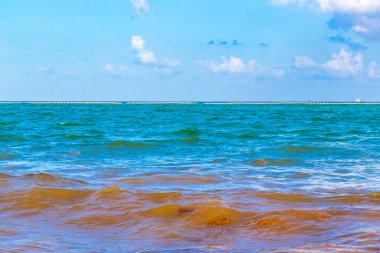 Playa del Carmen Meksika 'da turkuvaz mavisi berrak sulara sahip tropik Meksika Karayip sahili manzarası..