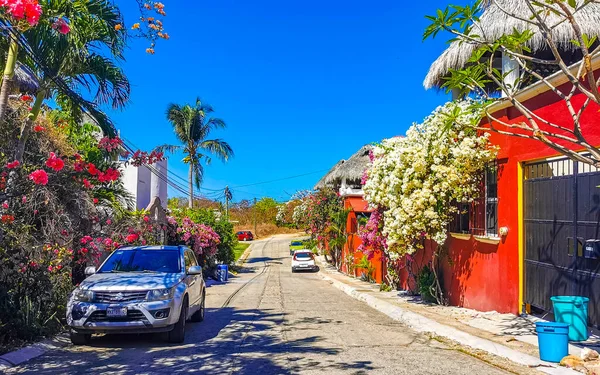 Puerto Escondido Oaxaca Mexico Maart 2023 Typisch Mooie Kleurrijke Toeristische — Stockfoto