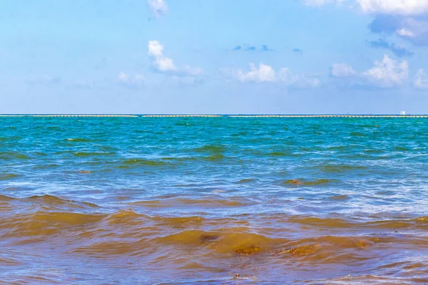 Tropiske Mexicanske Caribbean Strand Landskab Panorama Med Klar Turkis Blå - Stock-foto
