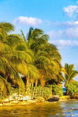 Playa del Carmen Meksika 'da turkuvaz mavisi berrak sulara sahip tropik Meksika Karayip sahili manzarası..