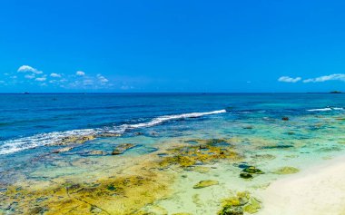 Playa del Carmen Meksika 'da tropik Meksika Karayip Sahili manzarası mercan taşları kayalar kayalar ve berrak turkuaz mavi su.