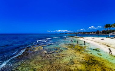 Playa del Carmen Quintana Roo Meksika 06. Mayıs 2023 Tropikal Meksika Karayip Sahili manzarası mercan taşları kayalar ve Playa del Carmen Meksika 'da berrak turkuaz mavi su.
