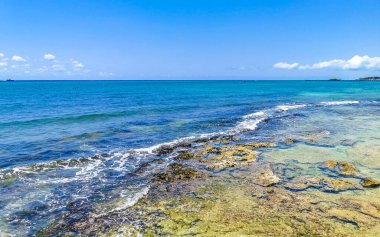 Playa del Carmen Meksika 'da tropik Meksika Karayip Sahili manzarası mercan taşları kayalar kayalar ve berrak turkuaz mavi su.