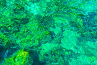 Güneydoğu Asya 'daki Ao Nang Amphoe Mueang Krabi Tayland' daki Koh Phi Leh adasında sualtı balığıyla berrak turkuaz suda yüzüyor..