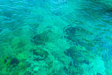 Güneydoğu Asya 'daki Ao Nang Amphoe Mueang Krabi Tayland' daki Koh Phi Leh adasında sualtı balığıyla berrak turkuaz suda yüzüyor..