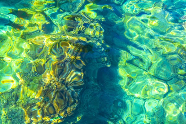 Snorkeling Καθαρά Γαλαζοπράσινα Νερά Υποβρύχια Προβολή Ψαριών Στο Νησί Koh — Φωτογραφία Αρχείου
