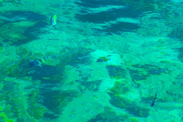 Ныряние Маской Прозрачной Бирюзовой Воде Видом Подводную Рыбу Острове Пхи — стоковое фото