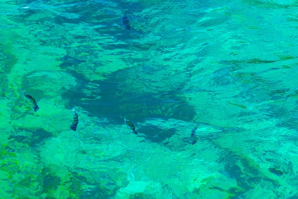 Esnórquel Aguas Turquesas Transparentes Con Peces Submarinos Isla Koh Phi —  Fotos de Stock