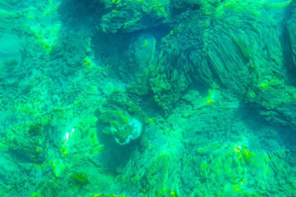 アオナンアンフォエ島のピピ島で水中魚を見ながら透明ターコイズブルーの海でシュノーケリング Mueang Krabi Thailand Southean Asia — ストック写真