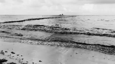 The beautiful Caribbean beach totally filthy and dirty the nasty seaweed sargazo problem in Playa del Carmen Quintana Roo Mexico.