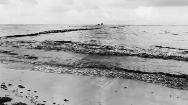 Den Smukke Caribiske Strand Helt Beskidt Beskidt Grimme Tang Sargazo – Stock-video