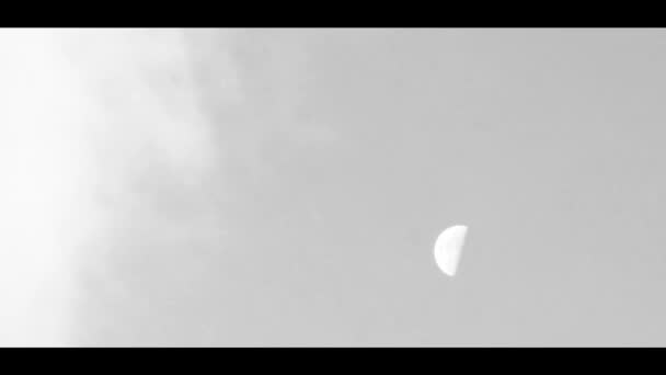 Närbild Månen Skiner Ljust Playa Del Carmen Quintana Roo Mexiko — Stockvideo