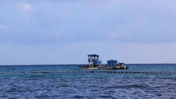 Embarcación Yate Ferry Embarcadero Embarcadero Puerto Playa Tropical Mexicana Vista — Vídeos de Stock