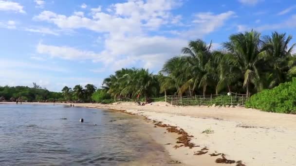 멕시코의 플라야델 카르멘 킨타나로오 2022 카리브해의 풍경의 과맑은 청록색 멕시코의 — 비디오