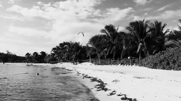 Playa Del Carmen Quintana Roo Mexiko September 2022 Tropische Karibische — Stockvideo