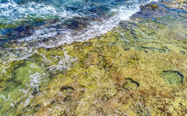Playa del Carmen Quintana Roo Meksika sahilindeki turkuaz yeşil ve mavi sularda kayalar ve mercanlar..