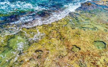 Playa del Carmen Quintana Roo Meksika sahilindeki turkuaz yeşil ve mavi sularda kayalar ve mercanlar..