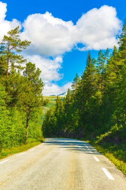 Norveç 'in İskandinavya bölgesindeki Kvitfjell Favang Ringbu Innlandet bölgesindeki dağlardan ve ormanlardan geçen dağ yolu.