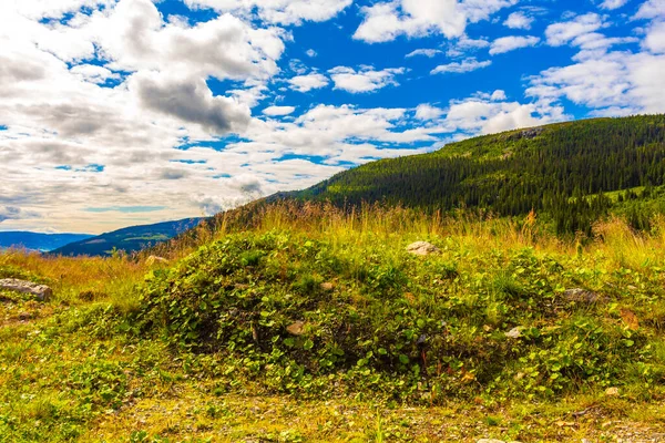 Dağlı Norveç Dağ Manzarası Doğa Manzarası Mavi Gökyüzü Skandinavya Daki — Stok fotoğraf