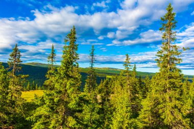 Dağlı Norveç dağ manzarası doğa manzarası ve mavi gökyüzü İskandinavya 'daki Kvitfjell Favang Ringbu Innlandet Norveç' te bulutlar.