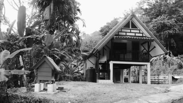Huis Hut Gebouw Tropische Jungle Het Strand Naithon Beach Sakhu — Stockvideo