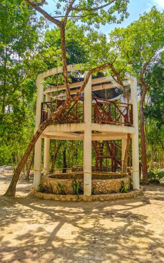 Güzel Cenote Park Aktunchen 'de kireçtaşı kayalar turkuaz mavi yeşil su ve Tulum Quintana Roo Meksika' da doğa ormanı..