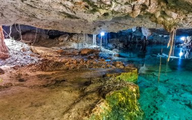 Güzel Cenote Park Aktunchen 'de kireçtaşı kayalar turkuaz mavi yeşil su ve Tulum Quintana Roo Meksika' da doğa ormanı..