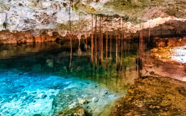 Güzel Cenote Park Aktunchen 'de kireçtaşı kayalar turkuaz mavi yeşil su ve Tulum Quintana Roo Meksika' da doğa ormanı..