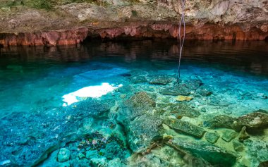 Güzel Cenote Park Aktunchen 'de kireçtaşı kayalar turkuaz mavi yeşil su ve Tulum Quintana Roo Meksika' da doğa ormanı..