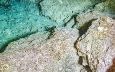 Güzel Cenote Park Aktunchen 'de kireçtaşı kayalar turkuaz mavi yeşil su ve Tulum Quintana Roo Meksika' da doğa ormanı..