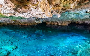 Güzel Cenote Park Aktunchen 'de kireçtaşı kayalar turkuaz mavi yeşil su ve Tulum Quintana Roo Meksika' da doğa ormanı..