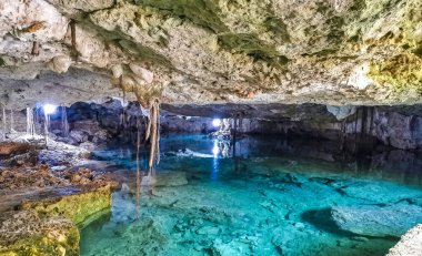 Güzel Cenote Park Aktunchen 'de kireçtaşı kayalar turkuaz mavi yeşil su ve Tulum Quintana Roo Meksika' da doğa ormanı..