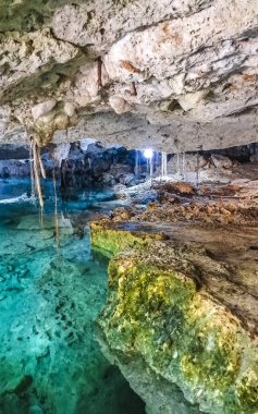 Güzel Cenote Park Aktunchen 'de kireçtaşı kayalar turkuaz mavi yeşil su ve Tulum Quintana Roo Meksika' da doğa ormanı..