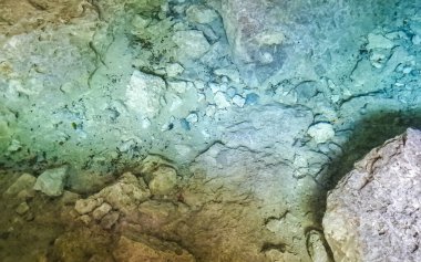 Güzel Cenote Park Aktunchen 'de kireçtaşı kayalar turkuaz mavi yeşil su ve Tulum Quintana Roo Meksika' da doğa ormanı..