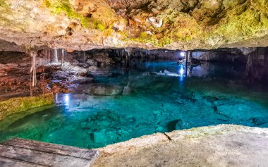 Güzel Cenote Park Aktunchen 'de kireçtaşı kayalar turkuaz mavi yeşil su ve Tulum Quintana Roo Meksika' da doğa ormanı..