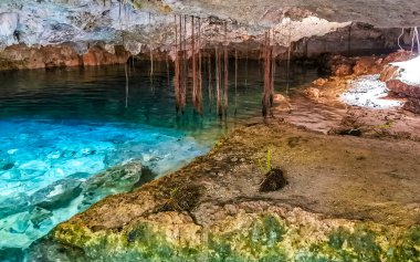 Güzel Cenote Park Aktunchen 'de kireçtaşı kayalar turkuaz mavi yeşil su ve Tulum Quintana Roo Meksika' da doğa ormanı..