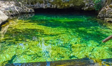 Güzel Cenote Park Aktunchen 'de kireçtaşı kayalar turkuaz mavi yeşil su ve Tulum Quintana Roo Meksika' da doğa ormanı..
