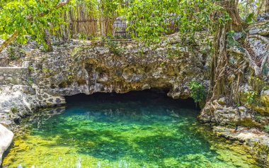 Güzel Cenote Park Aktunchen 'de kireçtaşı kayalar turkuaz mavi yeşil su ve Tulum Quintana Roo Meksika' da doğa ormanı..